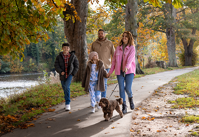 fall walk